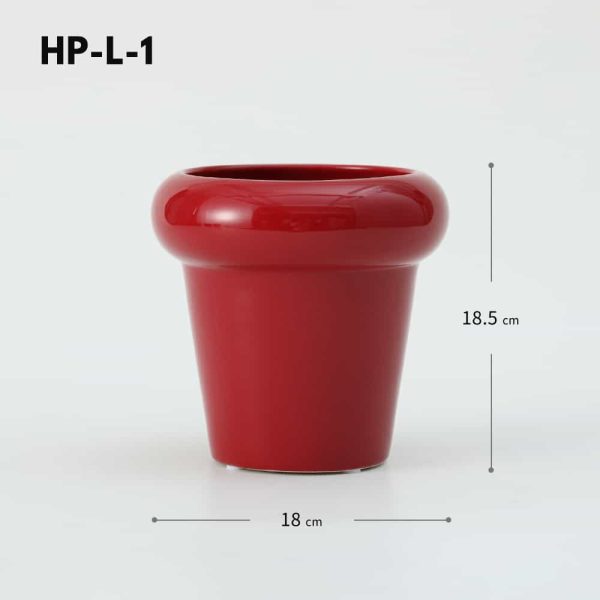 Phalaenopsis Decorative Flowerpot-07