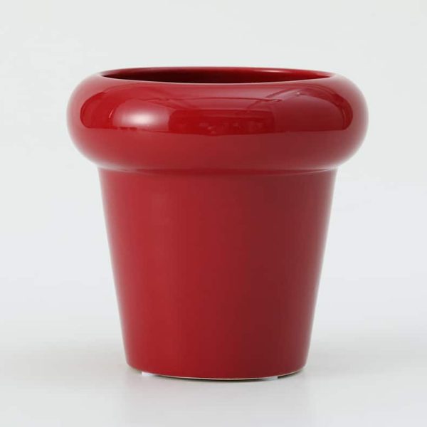 Phalaenopsis Decorative Flowerpot-03